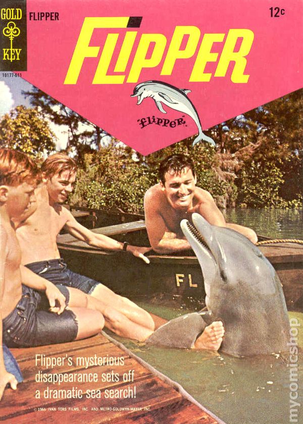 flipper